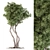 Evergreen Foliage - Collection 112 3D model small image 1