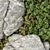 Vertical Rock Garden Vol 138 Model 3D model small image 2