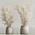 Modern Dry Indoor Plant Set 3D model small image 4