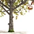 Autumn Mountain Maple Tree Model 3D model small image 4