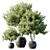 3D Plant Model with High Polys 3D model small image 1