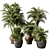 Tropical Outdoor Plant 459 3D model small image 1