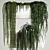 Rhipsalis & Succulent Hanging Wall Garden 3D model small image 2