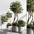 Tree & Bush Indoor Plant 3D model small image 1