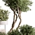 Tree & Bush Indoor Plant 3D model small image 5