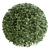 Dual Object Boxwood 3D Model 3D model small image 5