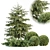 Seasonal Juniper Garden Collection 143 3D model small image 1