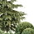 Seasonal Juniper Garden Collection 143 3D model small image 2