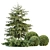 Seasonal Juniper Garden Collection 143 3D model small image 5