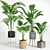 Modern Indoor Plant Set 002 3D model small image 1