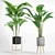 Modern Indoor Plant Set 002 3D model small image 2