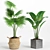 Modern Indoor Plant Set 002 3D model small image 3