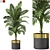 Bountiful Botanical Bundle 829 3D model small image 1