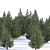 Spruce Forest 3D Model Render 3D model small image 1