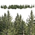 Spruce Forest 3D Model Render 3D model small image 7