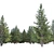 Spruce Forest 3D Model Render 3D model small image 9