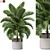 Lush Plant Variety Set 3D model small image 1