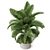 Lush Plant Variety Set 3D model small image 3