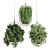 Modern Hanging Plant for Indoor Spaces 3D model small image 2