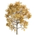 Autumn Maple Tree 3D Models 3D model small image 3