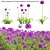  Versatile 3D Plant Models Package 3D model small image 1