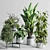 Concrete Vase Indoor Plant Set 3D model small image 1