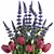 Vibrant Tulip Flower Bouquet Set 3D model small image 2