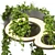 Pothos Ivy Hanging Plant Model 3D model small image 5