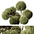  Boxwood Topiary Ball Set 103 3D model small image 1