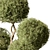  Boxwood Topiary Ball Set 103 3D model small image 3