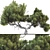  3D Tree Model Kit Pack 3D model small image 1