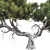  3D Tree Model Kit Pack 3D model small image 2