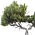  3D Tree Model Kit Pack 3D model small image 3