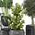 Green Oasis Indoor Plant Collection 3D model small image 4