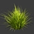 Title: Outdoor Switchgrass - Northwind Collection 3D model small image 5