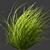 Title: Outdoor Switchgrass - Northwind Collection 3D model small image 6