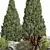 Outdoor Plant 161 | 527K Polygons 3D model small image 2