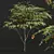 Ziziphus Jujuba 3D Plant Models 3D model small image 2