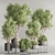 Vibrant Indoor Plant Set 74 3D model small image 1