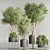 Vibrant Indoor Plant Set 74 3D model small image 3