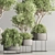 Vibrant Indoor Plant Set 74 3D model small image 4