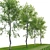 Fagus Tree 3D Model 3D model small image 2