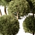 Handcrafted Boxwood Topiary Bush Set 3D model small image 2