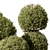 Handcrafted Boxwood Topiary Bush Set 3D model small image 3