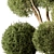 Handcrafted Boxwood Topiary Bush Set 3D model small image 4