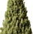 Evergreen Pine Tree Set 123 3D model small image 2