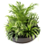 Round Indoor Plants in Stylish Pots 3D model small image 3