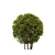 Artificial Topiary Ball Bush Set 3D model small image 4