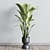 Rubber Plant in Concrete Vase 3D model small image 2