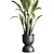 Rubber Plant in Concrete Vase 3D model small image 3